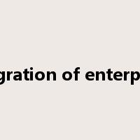 integration of enterprises是什么意思