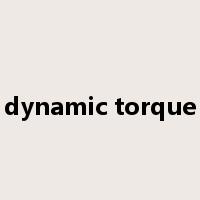 dynamic torque是什么意思