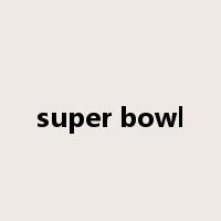 super bowl是什么意思