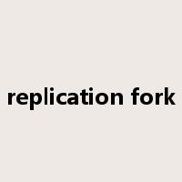 replication fork是什么意思