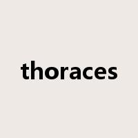 thoraces是什么意思