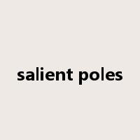 salient poles是什么意思