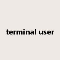 terminal user是什么意思