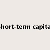 short-term capital是什么意思