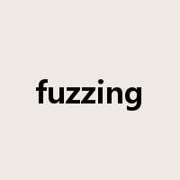 fuzzing是什么意思