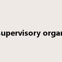 supervisory organ是什么意思