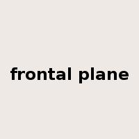 frontal plane是什么意思
