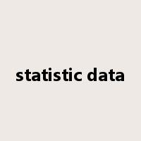 statistic data是什么意思