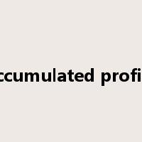 accumulated profits是什么意思