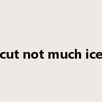 cut not much ice是什么意思