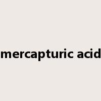 mercapturic acid是什么意思