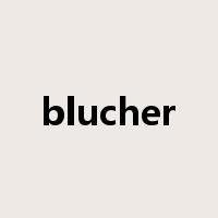 blucher是什么意思