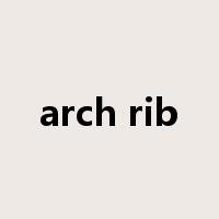 arch rib是什么意思