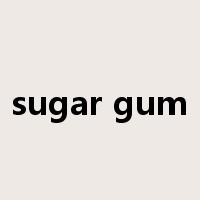sugar gum是什么意思