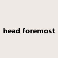 head foremost是什么意思