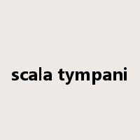 scala tympani是什么意思