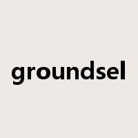 groundsel是什么意思