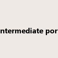 intermediate port是什么意思