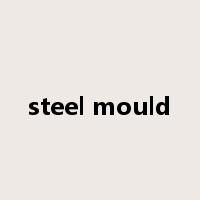 steel mould是什么意思