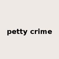 petty crime是什么意思