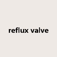 reflux valve是什么意思