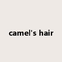 camel's hair是什么意思