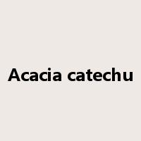 Acacia catechu是什么意思