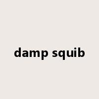 damp squib是什么意思
