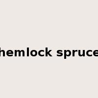 hemlock spruce是什么意思