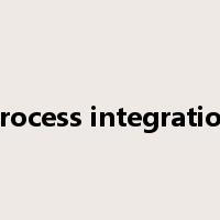 process integration是什么意思