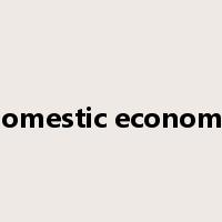 domestic economy是什么意思