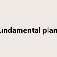 fundamental plane是什么意思