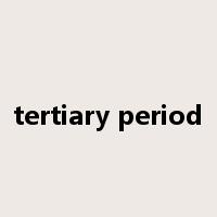 tertiary period是什么意思