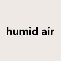 humid air是什么意思
