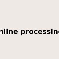 inline processing是什么意思