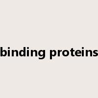 binding proteins是什么意思