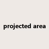 projected area是什么意思