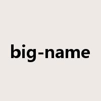 big-name是什么意思
