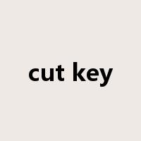 cut key是什么意思