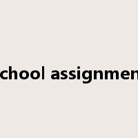 school assignment是什么意思