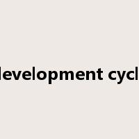 development cycle是什么意思