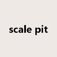 scale pit是什么意思