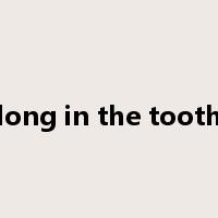 long in the tooth是什么意思