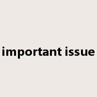 important issue是什么意思