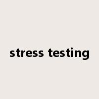 stress testing是什么意思