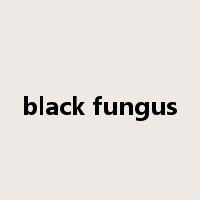 black fungus是什么意思