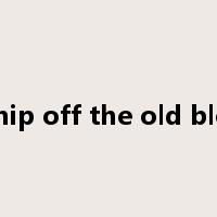 a chip off the old block是什么意思