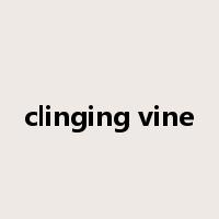 clinging vine是什么意思