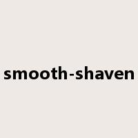 smooth-shaven是什么意思