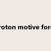 proton motive force是什么意思